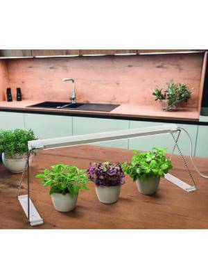 Ampoule LED Horticole E27