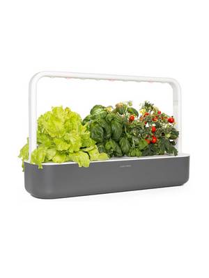 Kit Aquaponie Familial Avancé