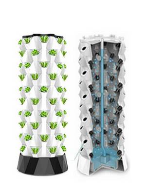 Kit Aquaponie Professionnel Compact